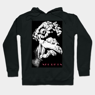 Secrets, motif 6 Hoodie